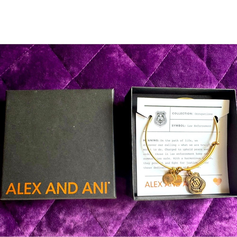 Alex And Ani Bracelet
